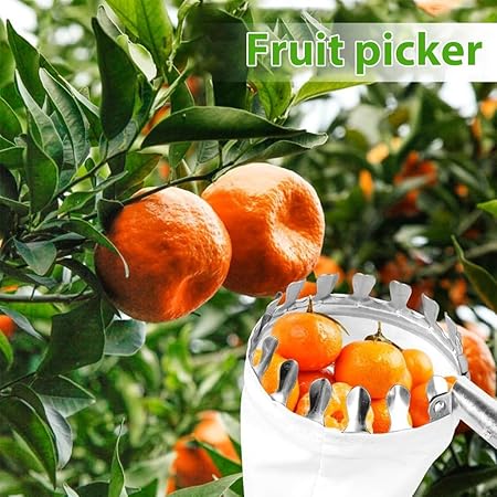 Fruit Plucker Telescopic Pole — Extendable Alloy Steel | Net & Tree Stick | Aam, Amrood, Jamun Easily Todon | Easy Assembly