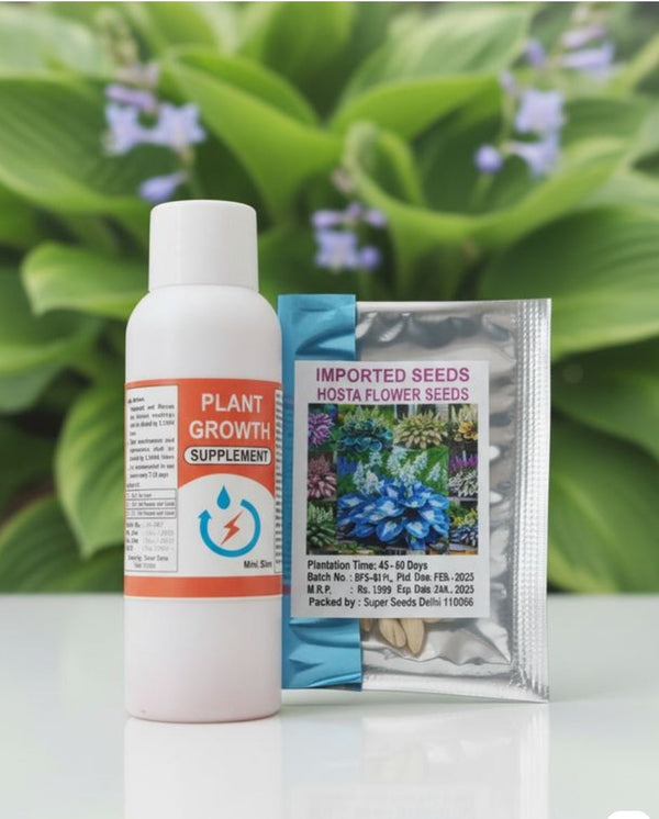 AI IMPORTED SEEDS HOSTA SEEDS AND PLANT GROWTH FREE  PACK 1